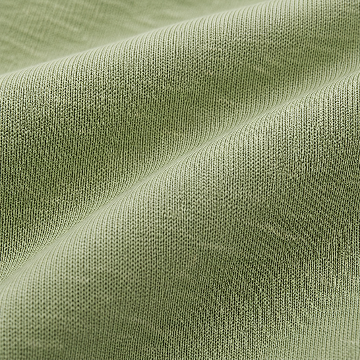 SALVIA
